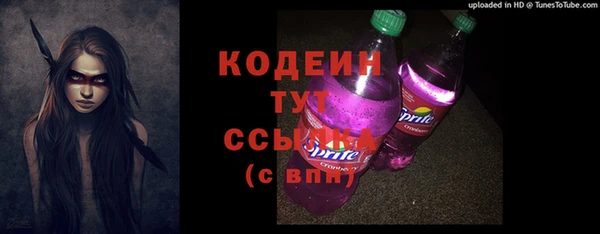 твердый Сатка
