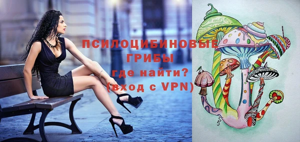 экстази Арсеньев