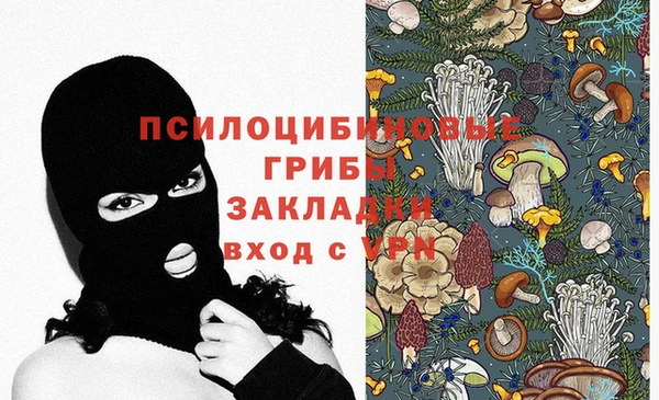 экстази Арсеньев