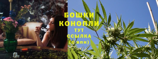 экстази Арсеньев
