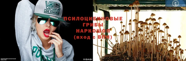 молекула духа Армянск