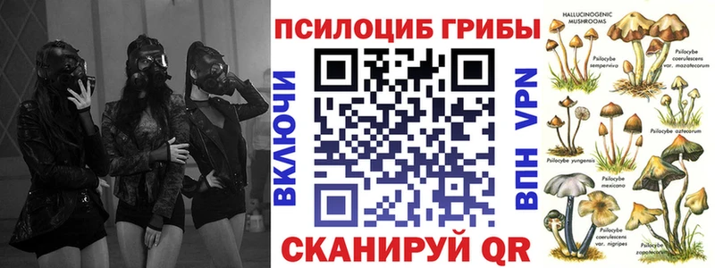 Псилоцибиновые грибы прущие грибы  Гвардейск 
